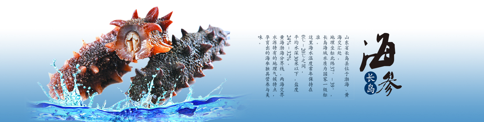 重慶監控公司